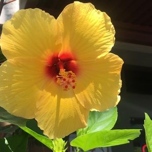 Meet your Posher, Rebekah